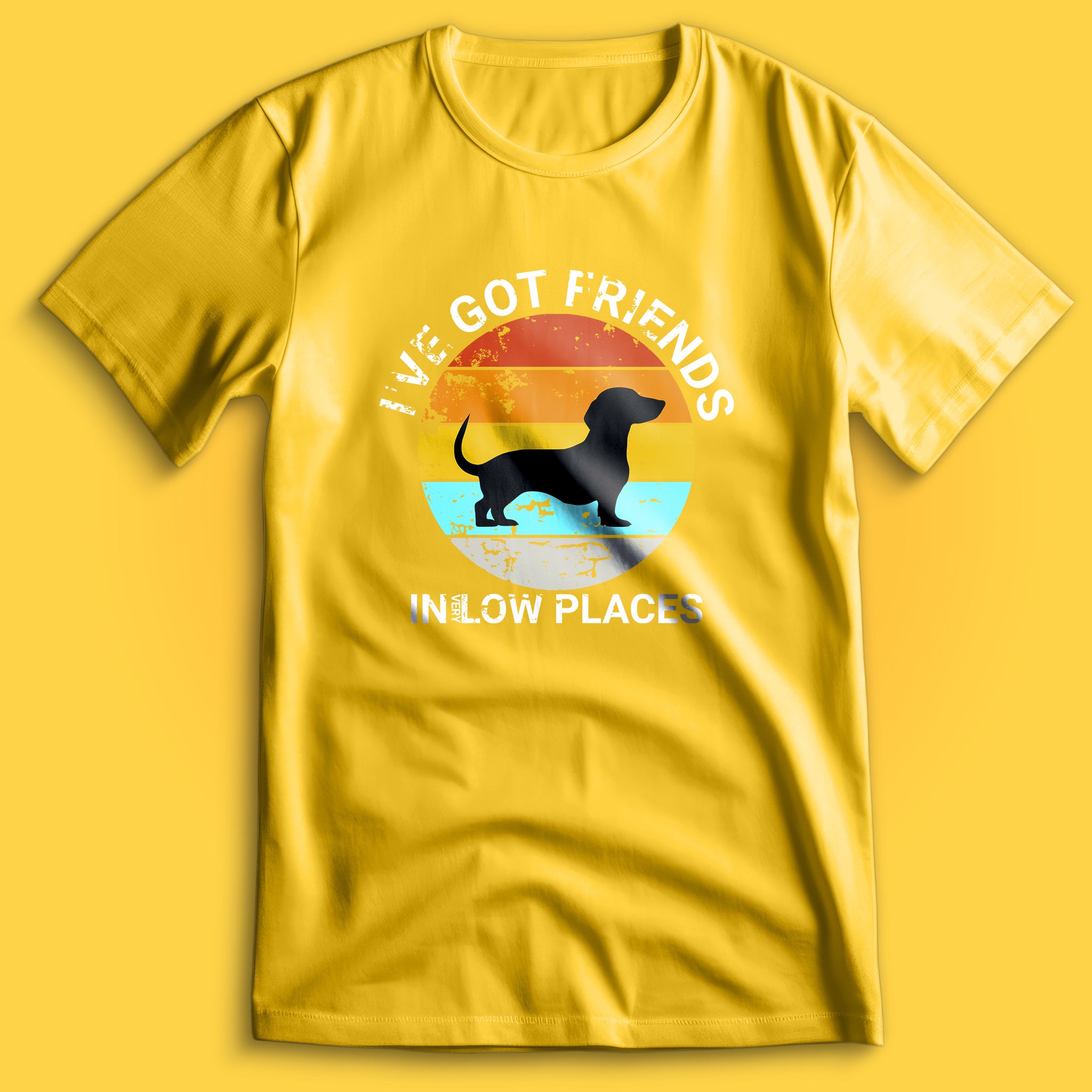 Friends In Low Places T-Shirt