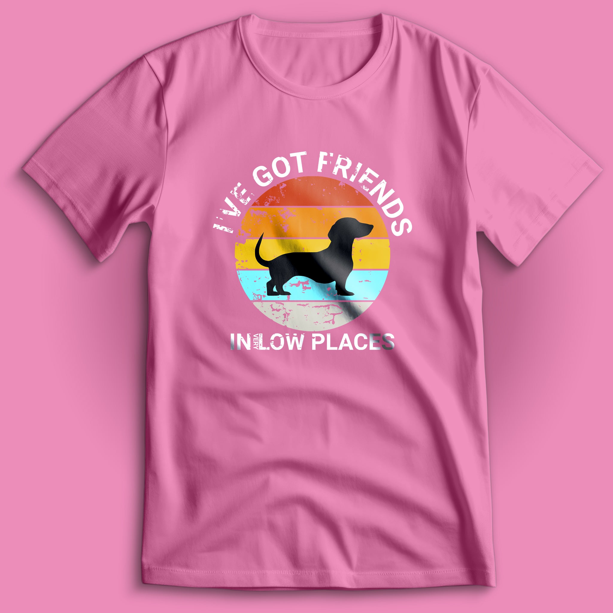 Friends In Low Places T-Shirt